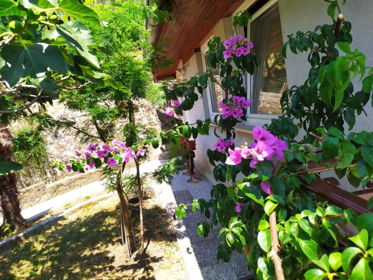 Apartament Lili House Portorož Zewnętrze zdjęcie